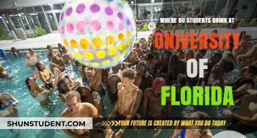 Gator Drinking Dens: Where Students Unwind at UF