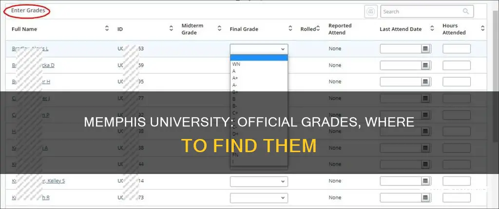 where do students find their official grade university of memphis
