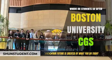 Post-CGS BU: Exploring Grad School Options Beyond Boston University