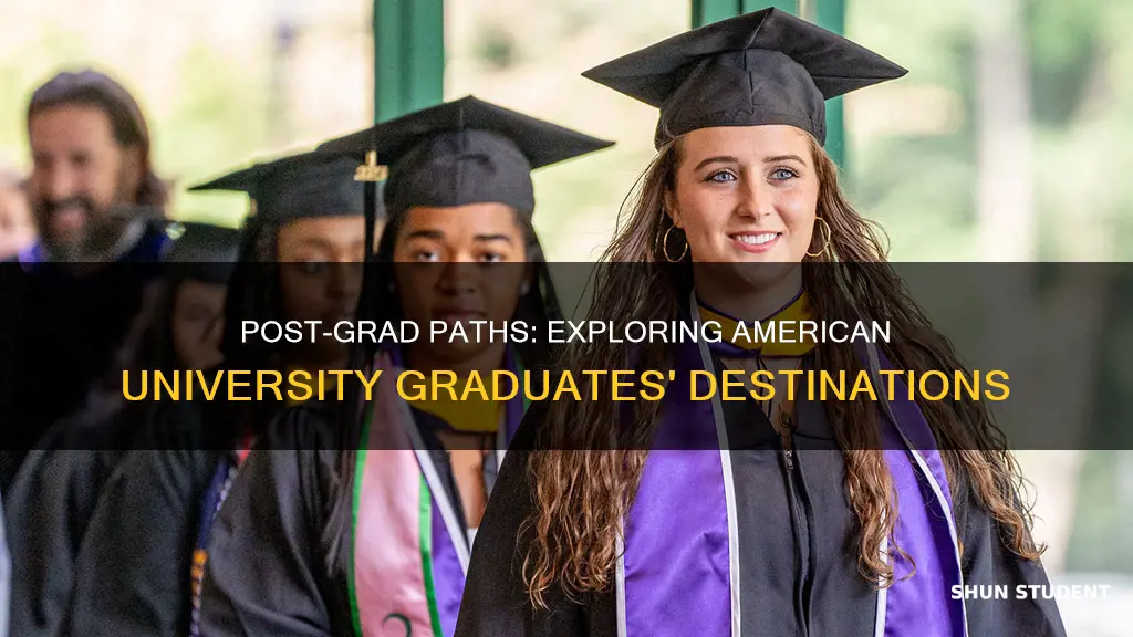 where do students go from american university after graduation