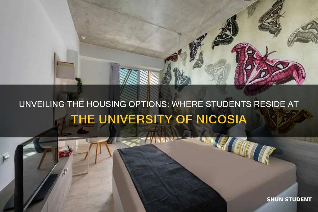 where do students live in university of nicosia