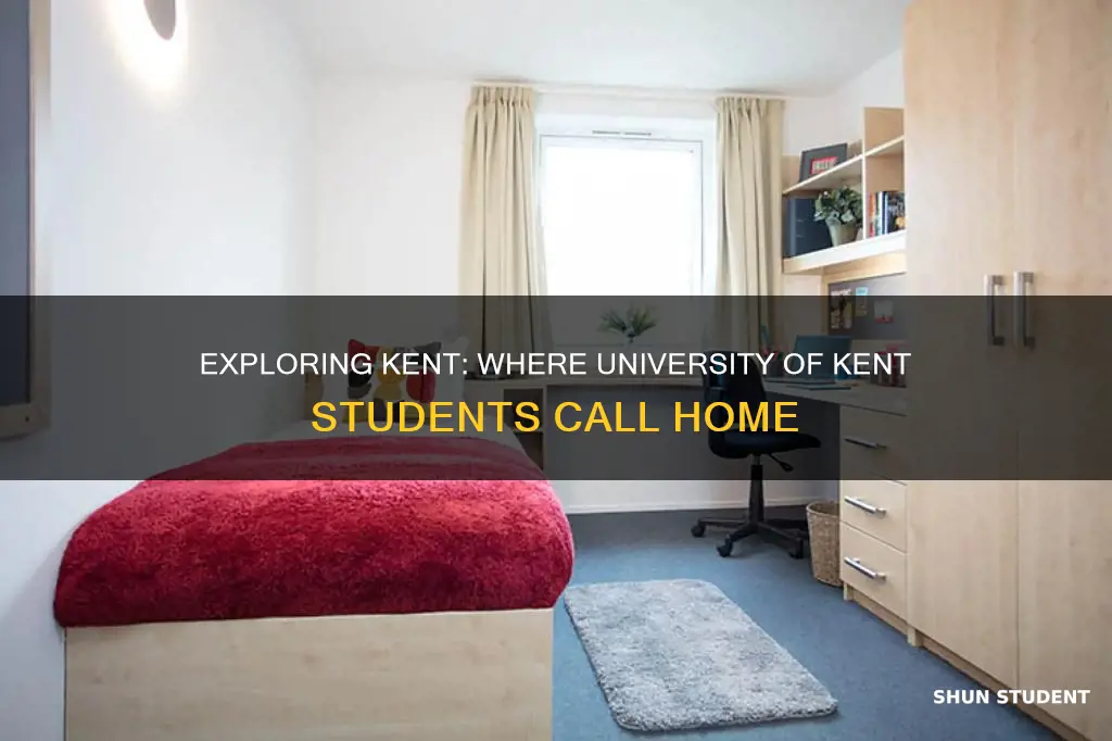 where do university of kent students live