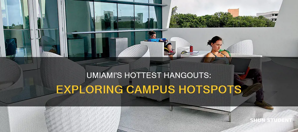 where do university of miami students hang out