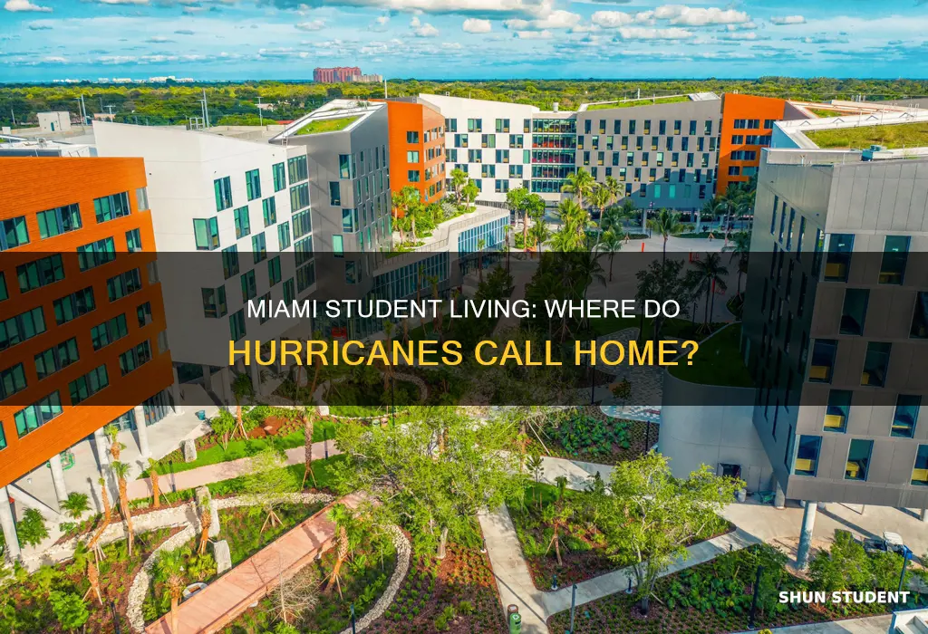 where do university of miami students live