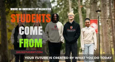 Rochester Students: Where Are They From?