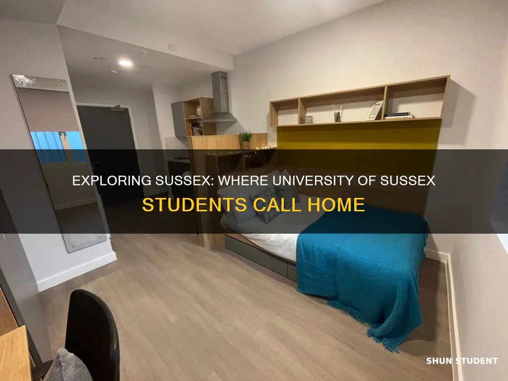 where do university of sussex students live