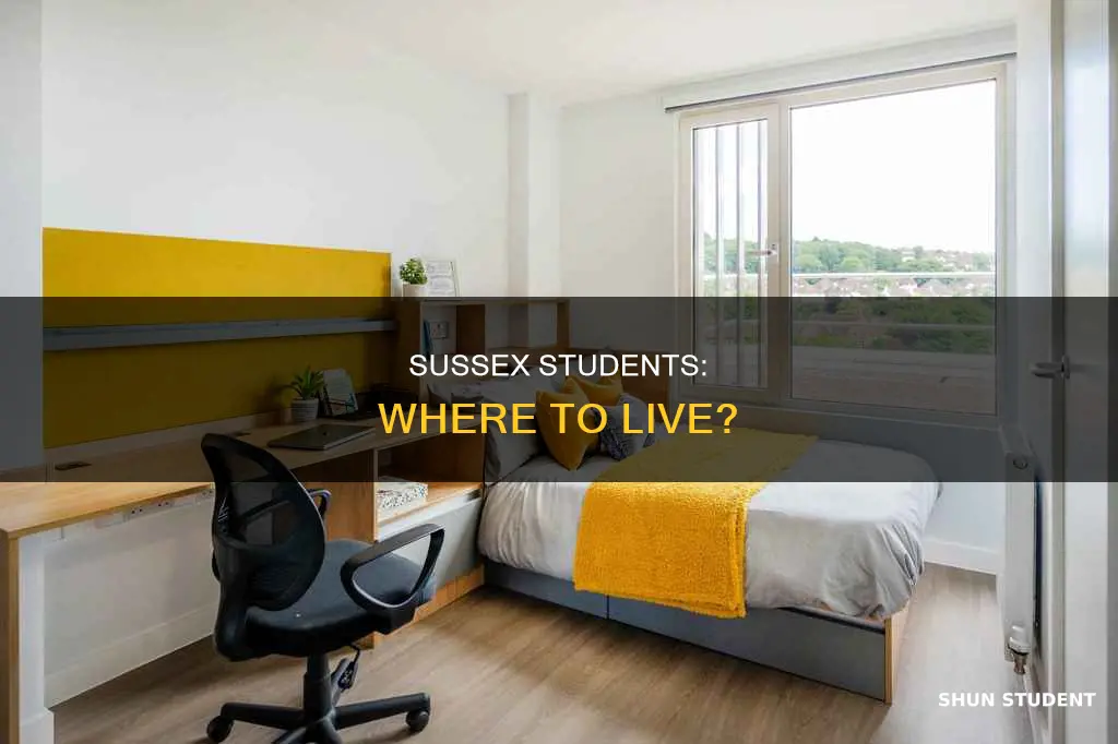 where do university of sussex students live