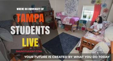 Tampa's Urban Lifestyle: Where University of Tampa Students Call Home