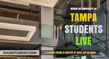 Tampa Students: Where to Live Off-Campus