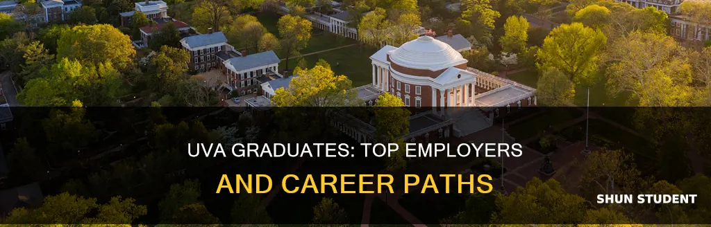 where do university of virginia students get jobs