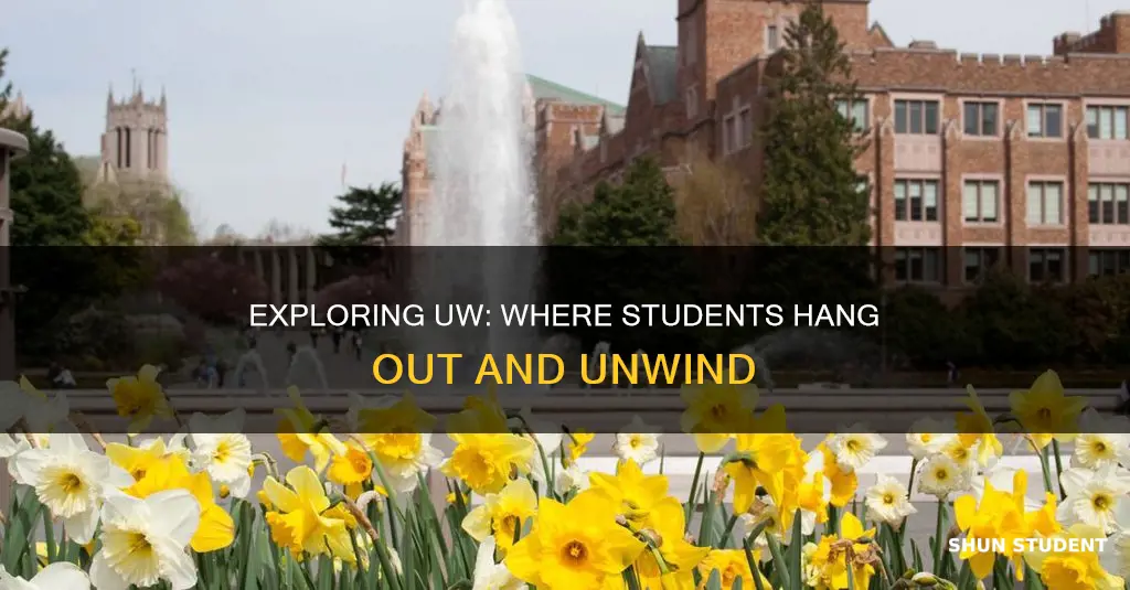 where do university of washington students hang out