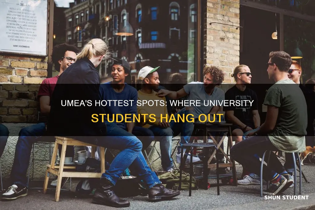 where do university students hang out umea