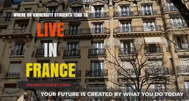 French University Students: Where Do They Live?