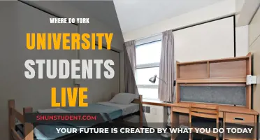 Exploring Housing Options: Where York U Students Call Home