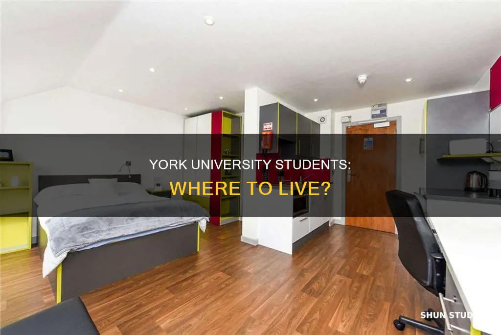 where do york university students live