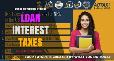 Navigating Student Loan Interest Tax Deductions: Where to Look