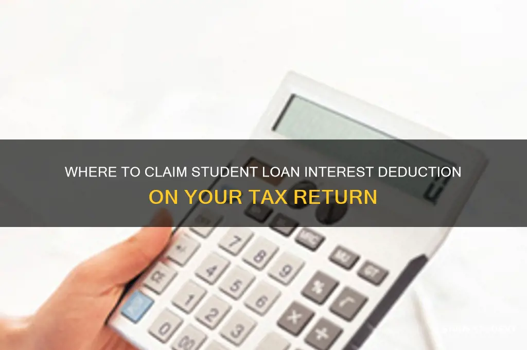 where do you input student loan interest deduiction
