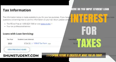 Tax Tips: Where to Input Student Loan Interest on Your Return