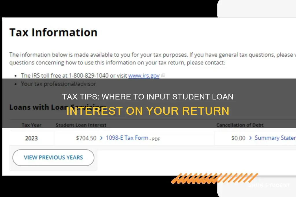 where do you input student loan interest for taxes