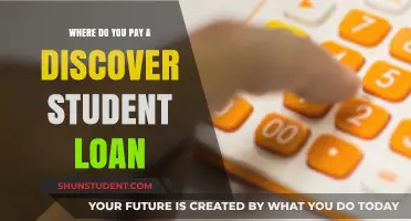 Discover Student Loan Payment Options and Methods