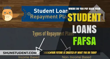 FAFSA Student Loan Repayment: Where and How to Pay Back