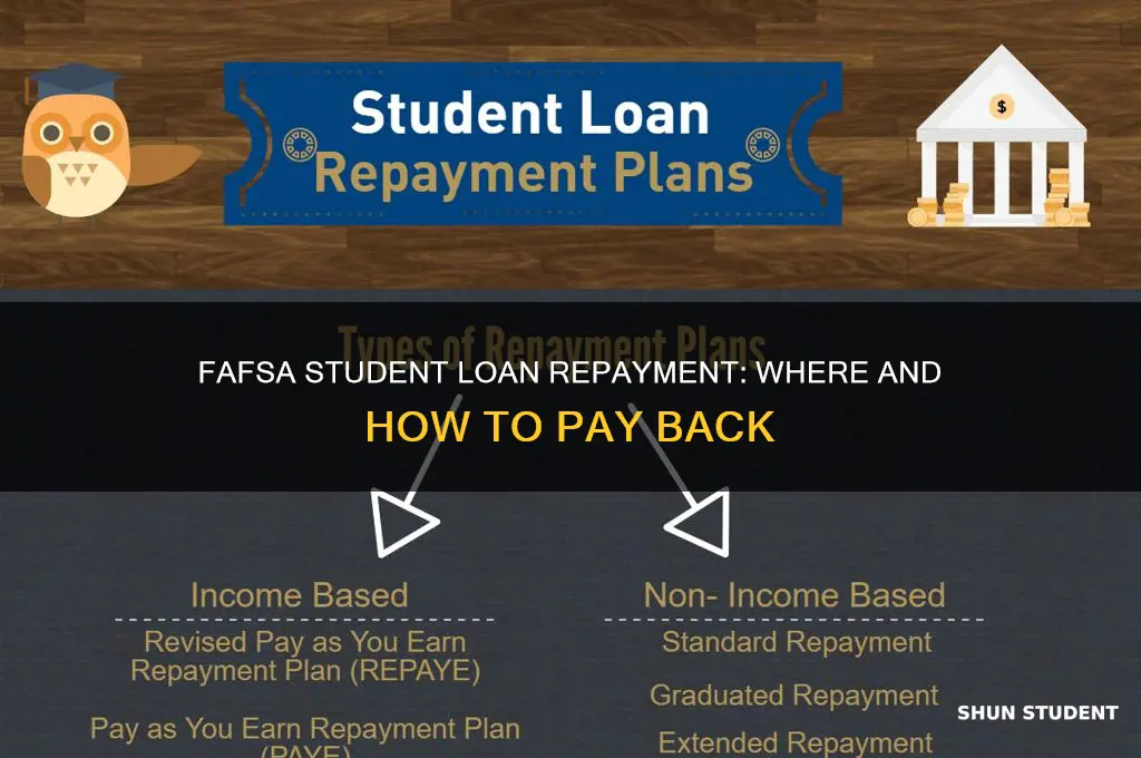 where do you pay back your student loans fafsa