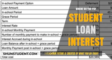 Student Loan Interest: Where Does Your Money Go?