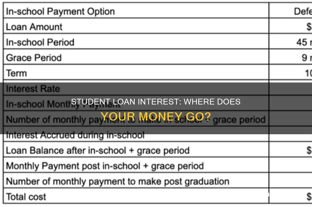where do you pay student loan interest