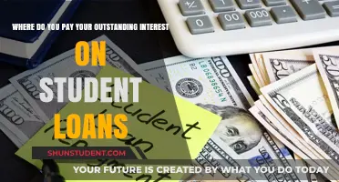 Student Loan Interest: Where and How to Pay