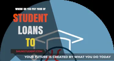 Paying Off Your UF Student Loans: Where to Send the Money