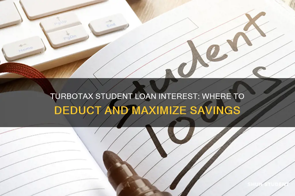 where do you put student loan interest on turbo tax