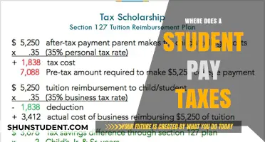 Student Tax Payments: Where and How Much?