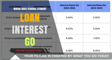 Unveiling the Destination: Where Federal Student Loan Interest Ends Up