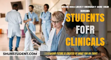 Liberty University Nursing Students: Clinical Placement Destinations