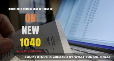 Understanding the New 1040: Student Loan Interest Reporting Explained