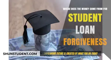 Uncovering the Funding Sources for Student Loan Forgiveness Programs