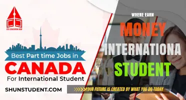 International Students: Ways to Earn Money