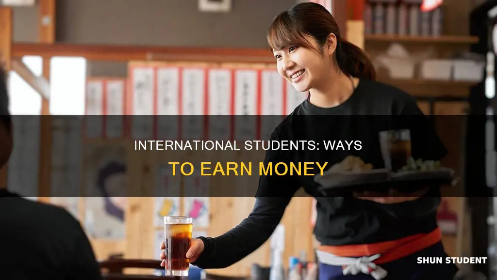 where earn money international student