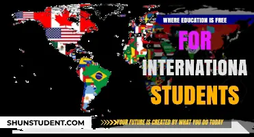 Free Education for International Students: Where to Study?