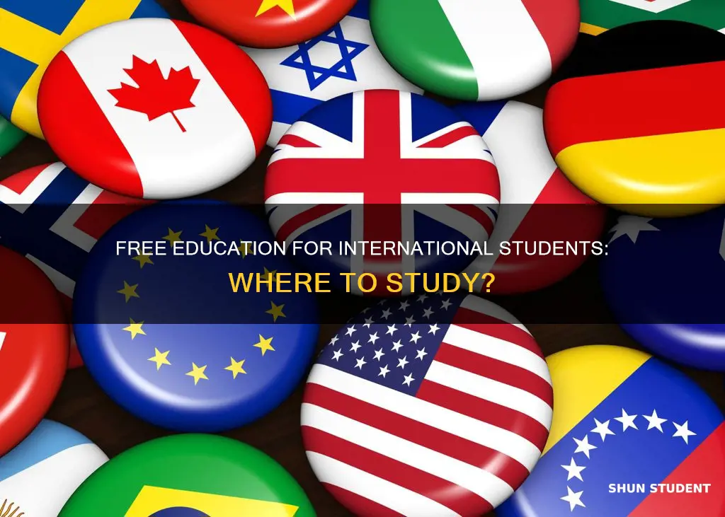 where education is free for international students