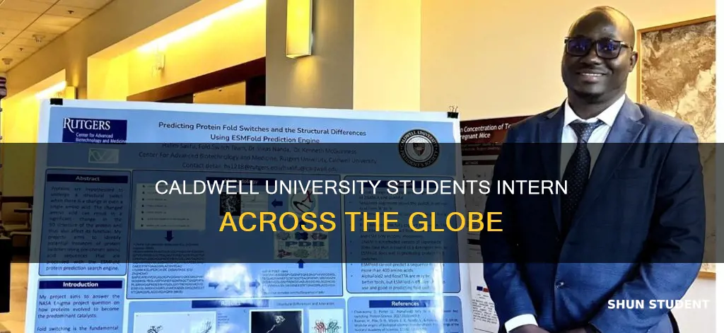 where have caldwell university students intern