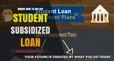 Student Loan Strategies: Repay Subsidized Debt Efficiently