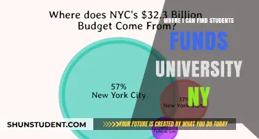 Finding Student Funds for University in New York