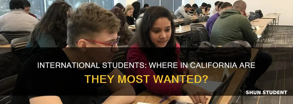 where in california do they hire international students the most