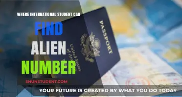 Alien Numbers: A Guide for International Students