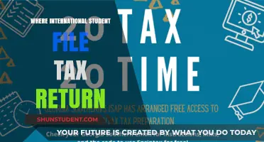 International Students: File Your Tax Returns Easily