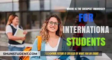 Affordable Education: Top Countries for International Student Savings