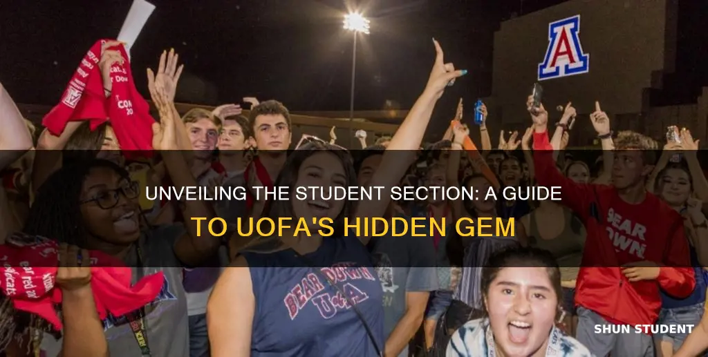 where is the student section at university of arizona