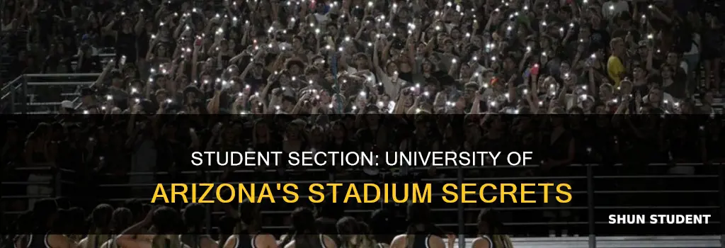 where is the student section at university of arizona