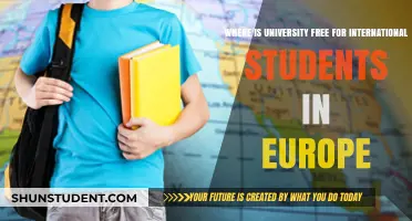 Free University Education for International Students in Europe
